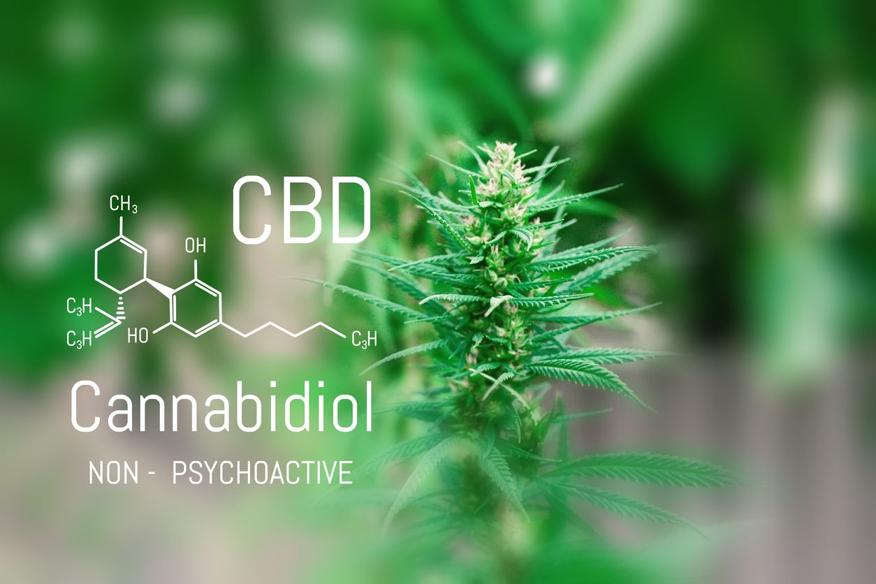 CANNABIDIOL (CBD): WHAT WE KNOW AND WHAT WE DON'T