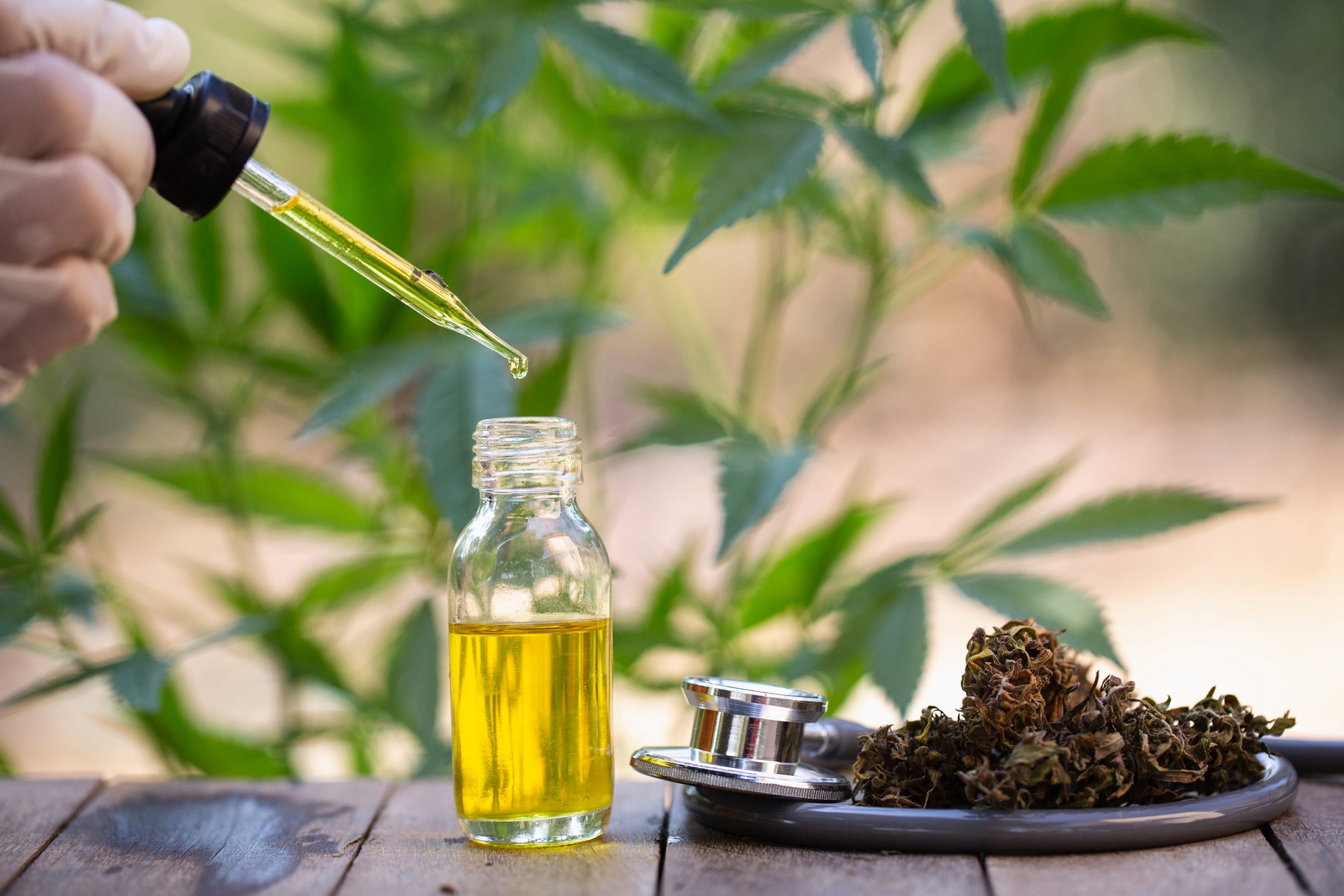 CBD DOSAGE GUIDE: HOW MUCH SHOULD YOU REALLY TAKE?