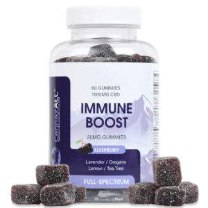 Immune Boost Formula Gummies 60 Count